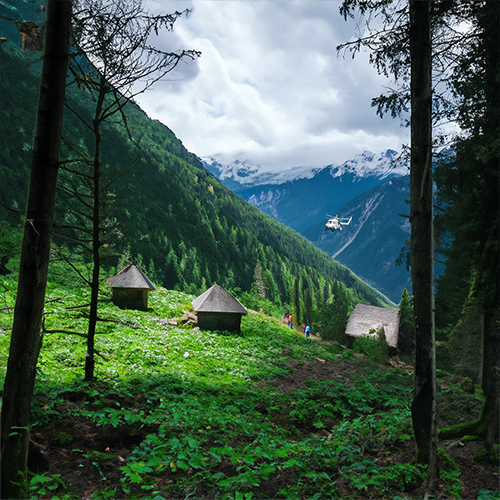A small group of people gather near a few cabins in the woods on a mountain and wait for a helicopter visible in the distance.
